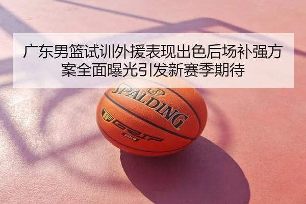 广东男篮试训外援表现出色后场补强方案全面曝光引发新赛季期待