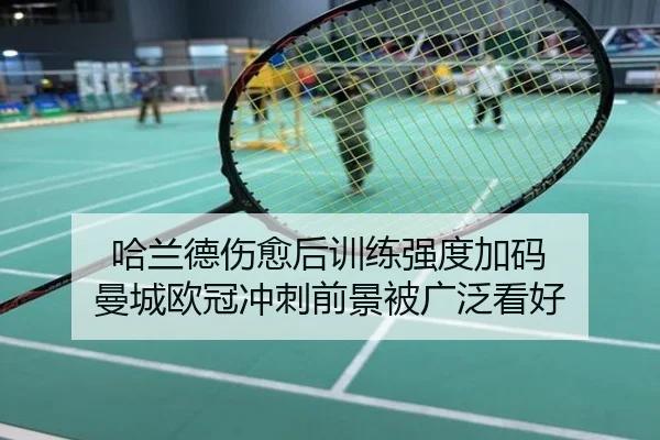 哈兰德伤愈后训练强度加码 曼城欧冠冲刺前景被广泛看好