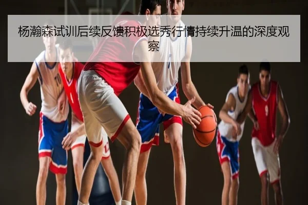 杨瀚森试训后续反馈积极选秀行情持续升温的深度观察